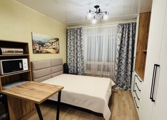 Аренда 1-комнатной квартиры, 20 м2, Зеленоград, Георгиевский проспект, 27к1