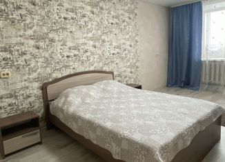 Аренда квартиры студии, 33 м2, Пермский край, улица Мира, 17