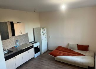 Аренда квартиры студии, 30 м2, Пермь, улица Баумана, 24А