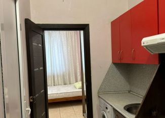 Сдаю в аренду квартиру студию, 28 м2, Балашиха, квартал Щитниково, 57А