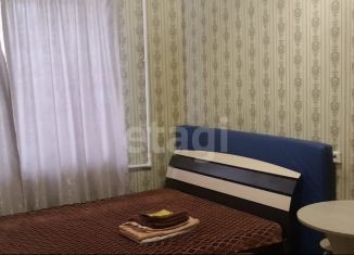 Квартира в аренду студия, 24 м2, Горно-Алтайск, Заринская улица, 39