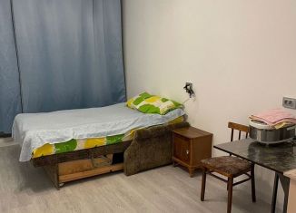 Сдаю в аренду квартиру студию, 25 м2, Санкт-Петербург, улица Струве, 12к1, Московский район