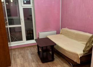 Квартира в аренду студия, 23 м2, Новосибирск, улица Виктора Уса, 9