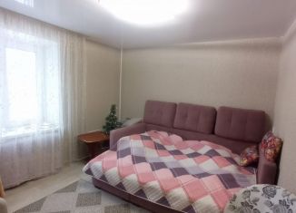 Продается 1-комнатная квартира, 28 м2, Пензенская область, Ахунская улица, 7