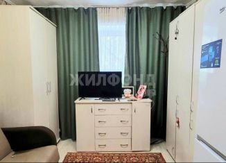 Продам 1-комнатную квартиру, 13 м2, Новосибирск, улица Жуковского, 105, метро Гагаринская