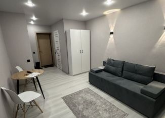 Сдаю в аренду квартиру студию, 19 м2, Татарстан, улица Качалова, 84