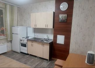 2-ком. квартира в аренду, 45 м2, Красноярский край, улица Алексеева, 46