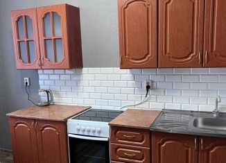 Сдача в аренду 1-ком. квартиры, 35 м2, Тюмень, Верхнетарманская улица, 3, ЖК Новый Мыс 2.0