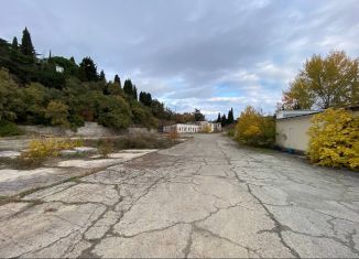 Продажа участка, 100 сот., поселок городского типа Отрадное, шоссе Дражинского, 4