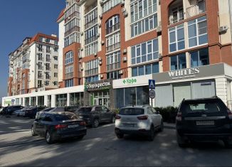 Продаю торговую площадь, 1910 м2, Геленджик, улица Олега Анофриева, 1к8