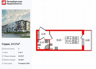 Продам квартиру студию, 24.6 м2, Санкт-Петербург, Московский район