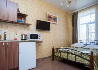 Сдается квартира студия, 18 м2, Санкт-Петербург, Старо-Петергофский проспект, 9Б, метро Нарвская