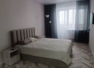 Аренда 1-комнатной квартиры, 42 м2, Абакан, улица Кирова, 179к2