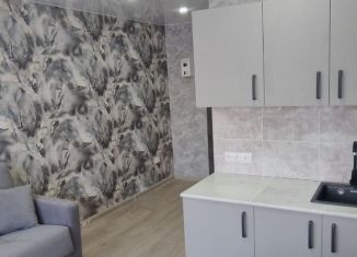 Продается квартира студия, 18 м2, Красноярск, улица Александра Матросова, 26