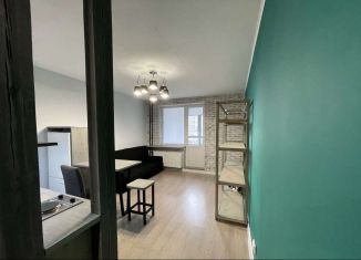 Квартира на продажу студия, 28 м2, Мурино, улица Шувалова, 48, ЖК Цвета радуги