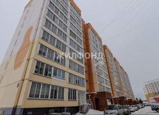 Продается квартира студия, 20.6 м2, Новосибирск, улица Дмитрия Шмонина, 4, ЖК Матрёшкин Двор