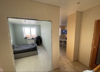 Продам 1-комнатную квартиру, 40 м2, деревня Дударева, улица Созидателей, 14, ЖК Комарово