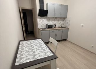 Сдается 1-ком. квартира, 40 м2, Ростов-на-Дону, Горсоветская улица, 49/1, Пролетарский район