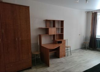 Сдается 1-ком. квартира, 32 м2, Нижегородская область, улица Добролюбова, 5