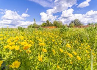 Земельный участок на продажу, 15 сот., деревня Никулино