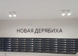 1-комнатная квартира на продажу, 34.1 м2, деревня Дерябиха, деревня Дерябиха, 76