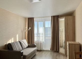 Продается квартира студия, 26.2 м2, Мурино, проспект Авиаторов Балтики, 3к1, ЖК Девятый вал