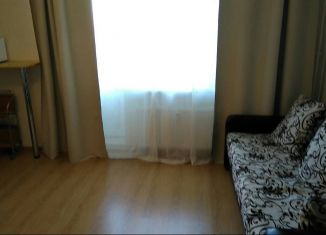 Продается квартира студия, 24 м2, Мурино, проспект Авиаторов Балтики, ЖК Виктория