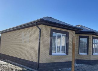 Продается дом, 102 м2, село Осиново, улица Шуравина