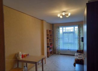 Квартира в аренду студия, 24 м2, Мурино, улица Шоссе в Лаврики, 67, ЖК Муринское-1