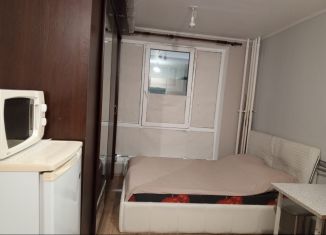 Продажа квартиры студии, 18 м2, посёлок Парголово, Толубеевский проезд, 8к2