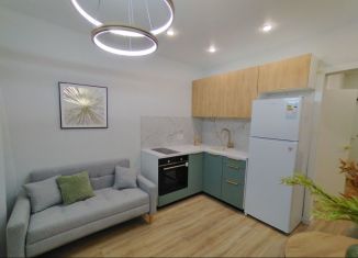 2-комнатная квартира на продажу, 43 м2, деревня Ивановское, улица Семёна Гордого, 1