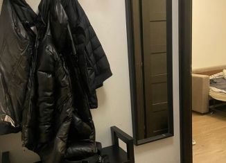 Сдаю в аренду 1-комнатную квартиру, 32 м2, Мурино, Воронцовский бульвар, 20к2, ЖК Гринландия-2