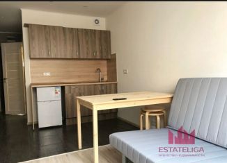 Продается квартира студия, 18.9 м2, рабочий посёлок Лопатино, Сухановская улица, 13, ЖК Государев Дом