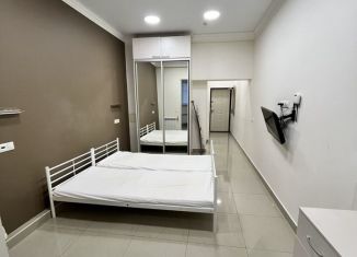 Сдача в аренду однокомнатной квартиры, 31 м2, Сочи, улица Яна Фабрициуса, 2/4Б, микрорайон Яна Фабрициуса