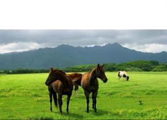 Продажа земельного участка, 6 сот., станица Новодмитриевская