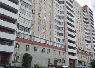 Сдам однокомнатную квартиру, 40 м2, Санкт-Петербург, проспект Испытателей, 33, Приморский район