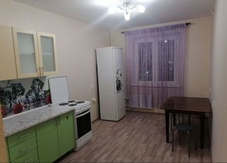 Сдача в аренду 1-комнатной квартиры, 43 м2, Челябинск, 2-я Эльтонская улица, 42