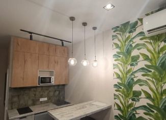 Продаю квартиру студию, 27.9 м2, Сочи, Фермерский переулок, 24, микрорайон Энергетик-Изумруд