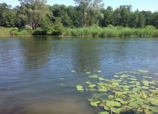 Продается участок, 8 сот., село Берёзово, Приозерная улица, 43