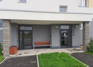 Продается однокомнатная квартира, 38.7 м2, посёлок Шушары, Московское шоссе, 256к8, ЖК Вариант