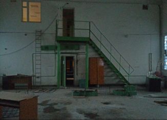 Сдам в аренду производство, 250 м2, Воронежская область, промышленная зона Южная, 13