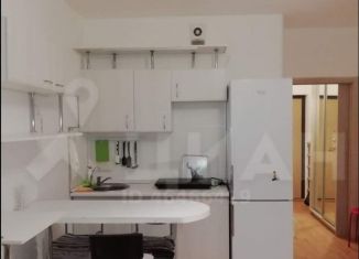 Продажа квартиры студии, 25.8 м2, Мурино, бульвар Менделеева, 22, ЖК Гринландия