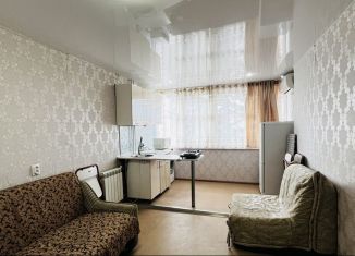 Квартира в аренду студия, 15 м2, Сочи, Пасечная улица, 43, микрорайон Донская