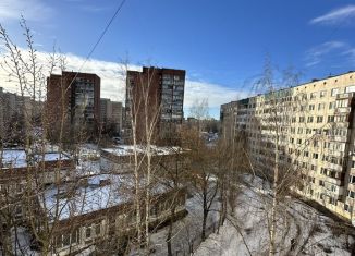 Двухкомнатная квартира на продажу, 46 м2, Санкт-Петербург, улица Коммуны, 44к1, муниципальный округ Ржевка