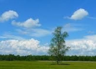 Продается участок, 20 сот., село Старые Камышлы, улица Камиля Абдуллина