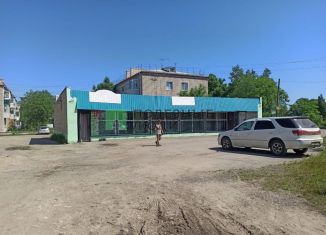 Продаю помещение свободного назначения, 273 м2, посёлок Николаевка, Строительная улица, 1