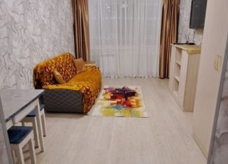 Продается 1-комнатная квартира, 23.3 м2, Иркутск, Пограничный переулок, 1Д