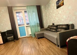 Продается квартира студия, 24 м2, Краснодар, улица Западный Обход, 42к7, ЖК Спортивная деревня