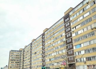 Продается квартира студия, 25.1 м2, село Новая Усмань, Полевая улица, 36Б