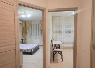 Сдается в аренду 1-ком. квартира, 40 м2, Ставрополь, улица Рогожникова, 5